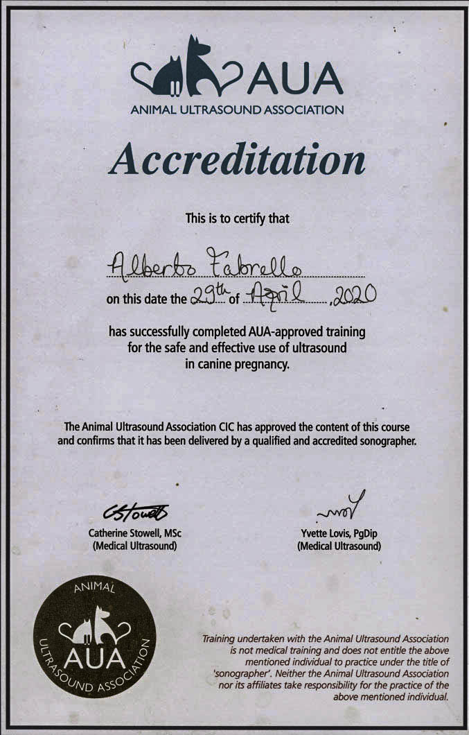 Alberto Dog Certificate