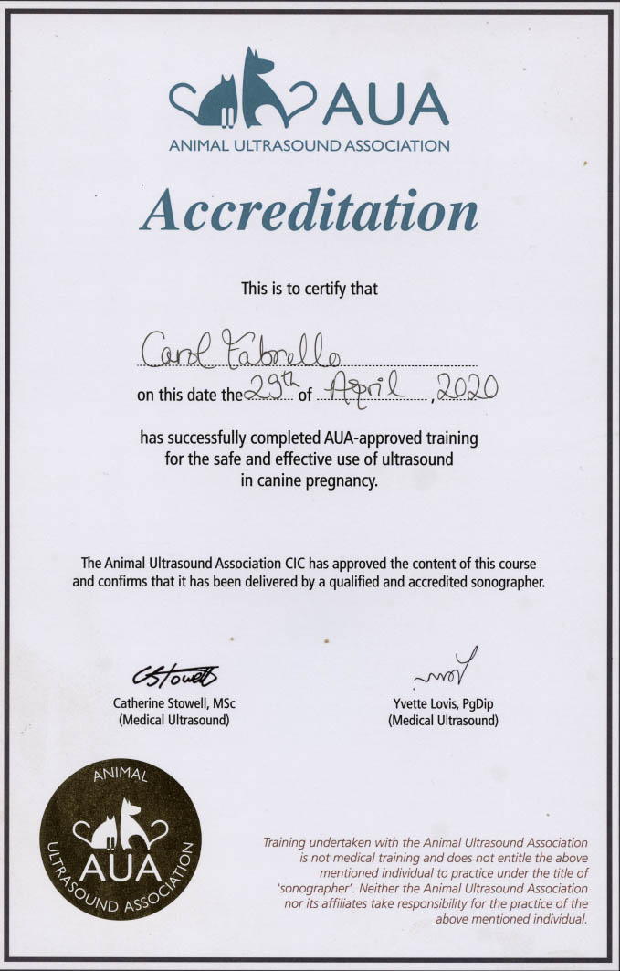 Carol Scan Certificate