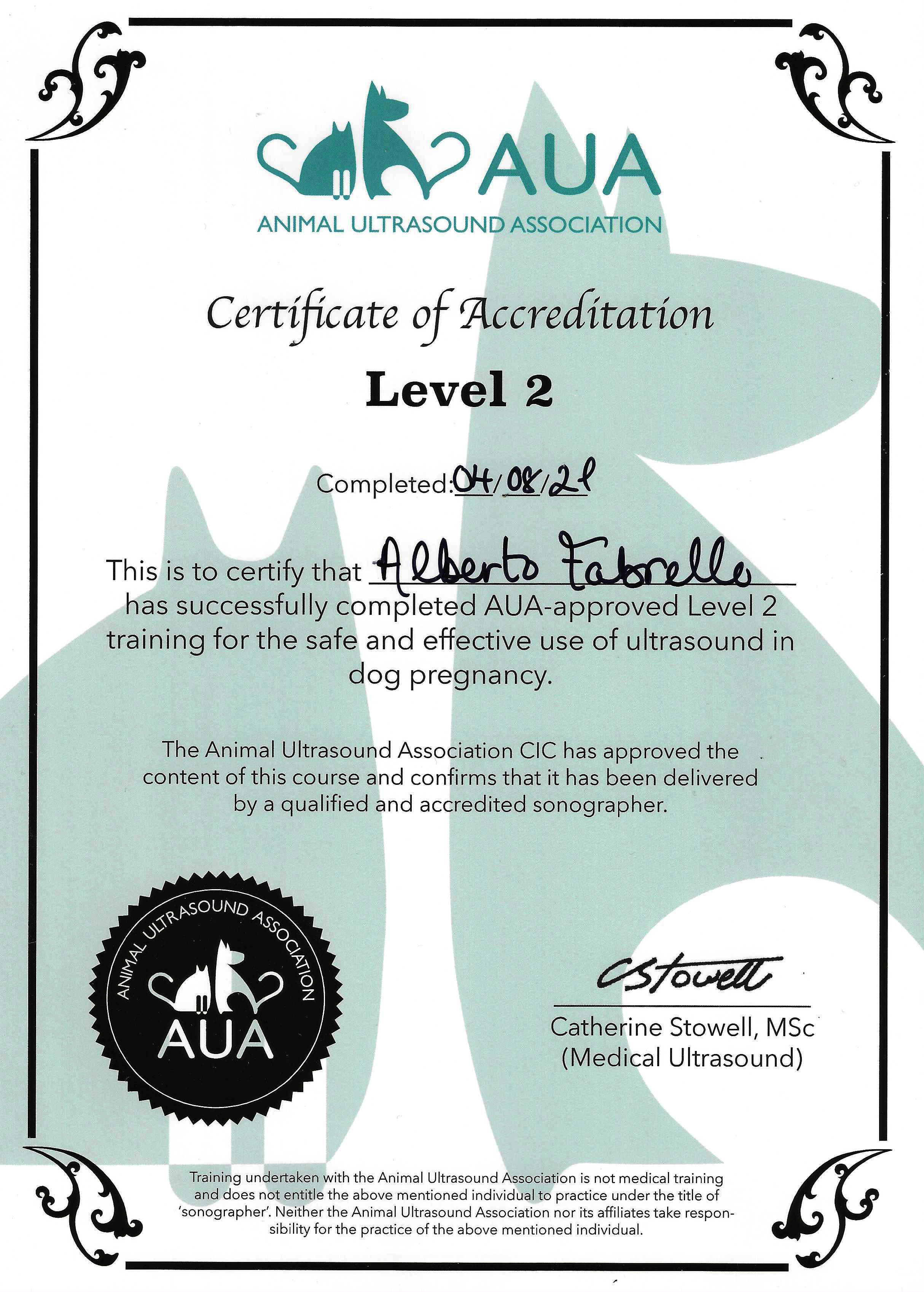 Level 2 Ultrasound Certificate